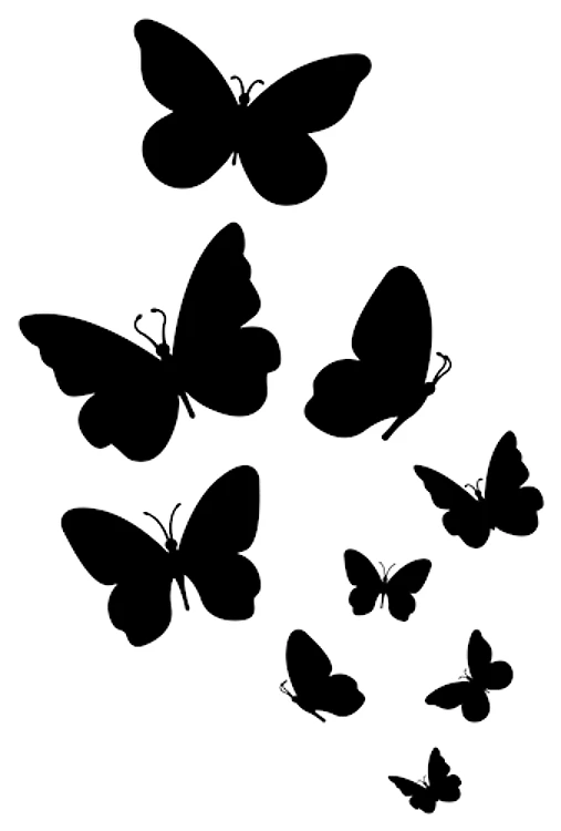 Butterflies