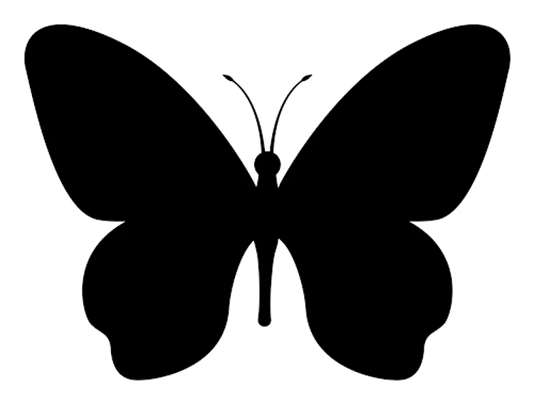 Butterfly Silhouette