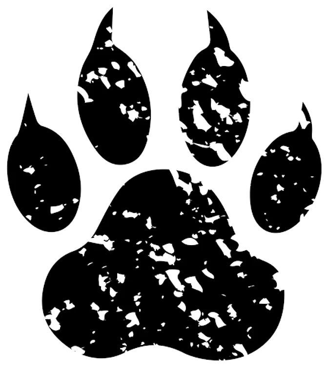 Grunge Bear Paw
