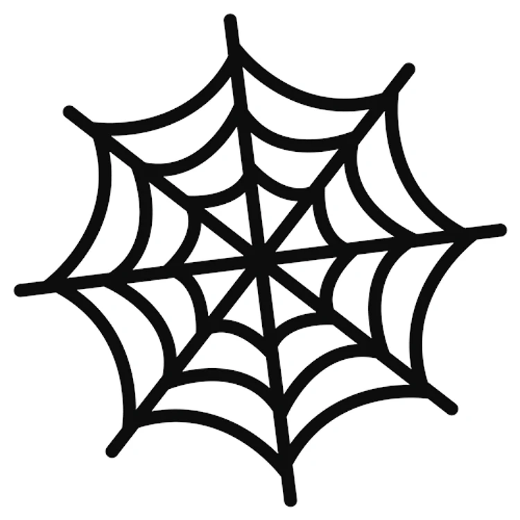 Spider Web