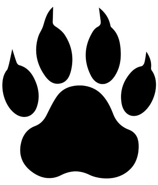 Bear Paw