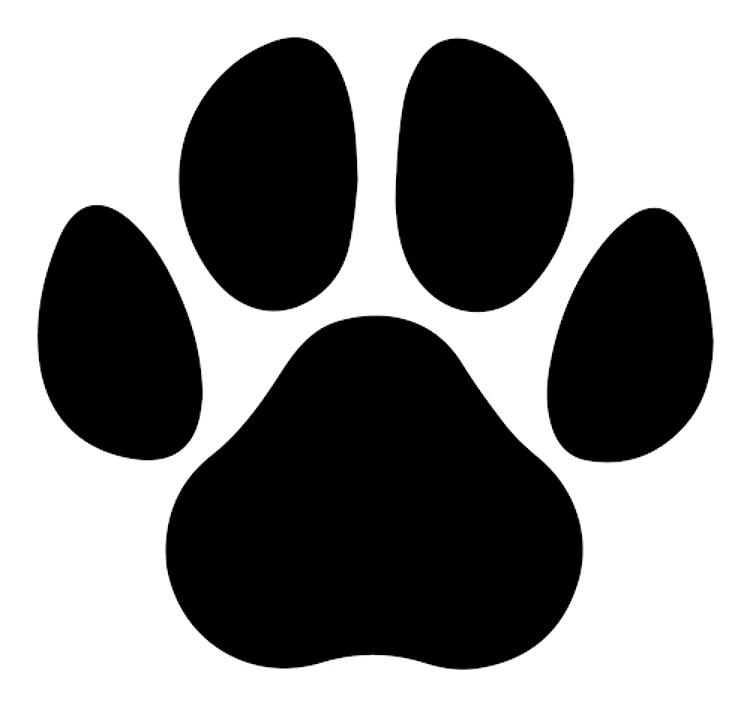 Dog Paw Print