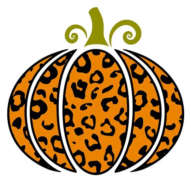 Leopard Print Pumpkin