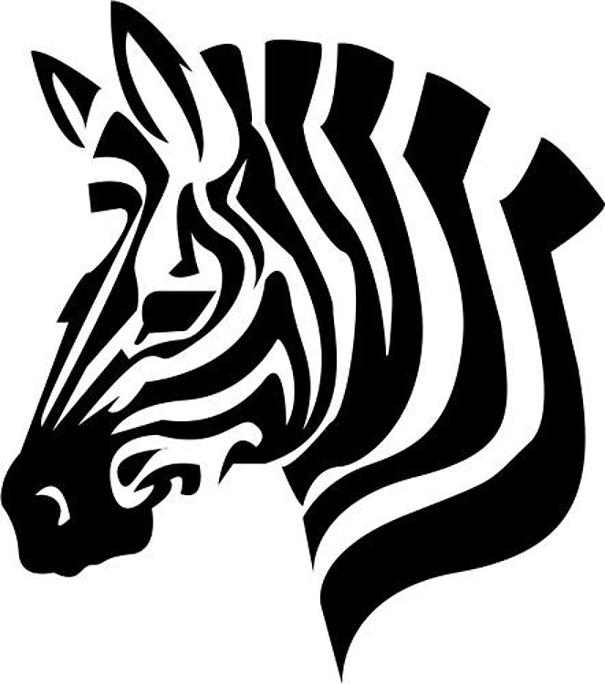 Zebra Head