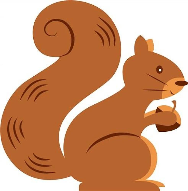 Squirrel