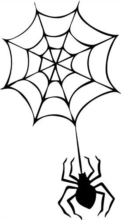 Halloween Spider & Web