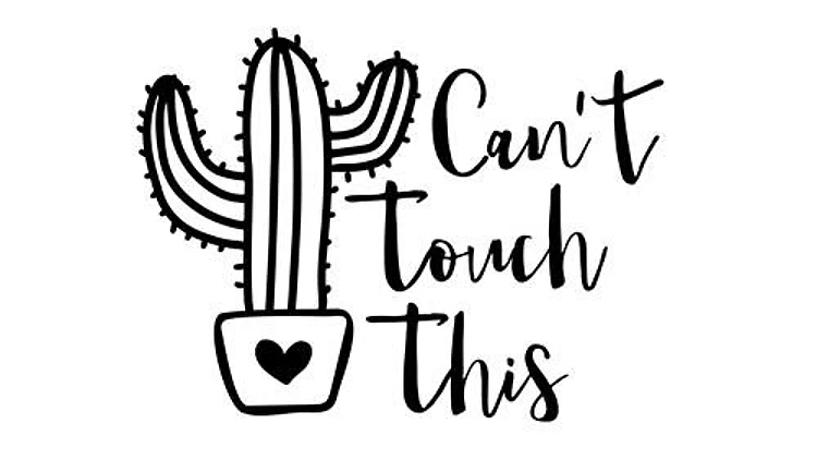 Cant Touch This