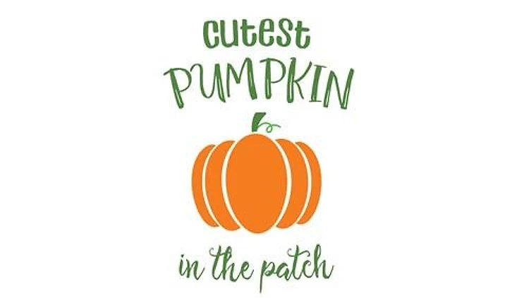 Cutest Pumpkin