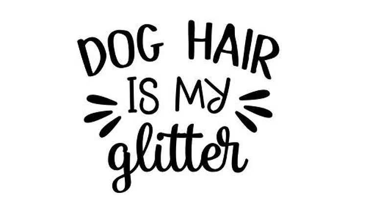Dog Hair