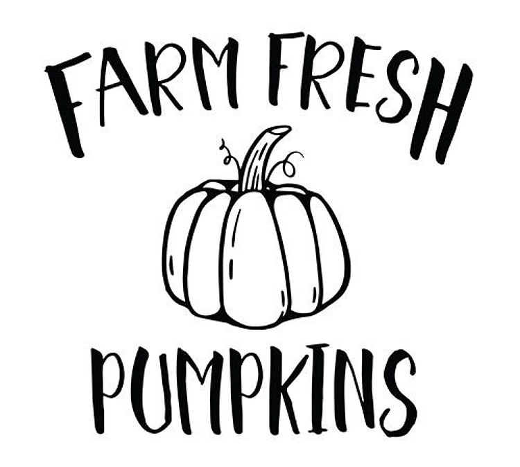 Farm Fresh Pumpkins