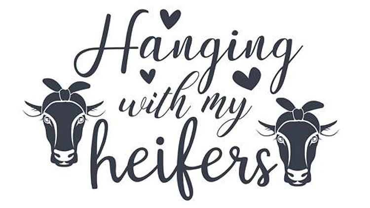 Hanging With Heifers