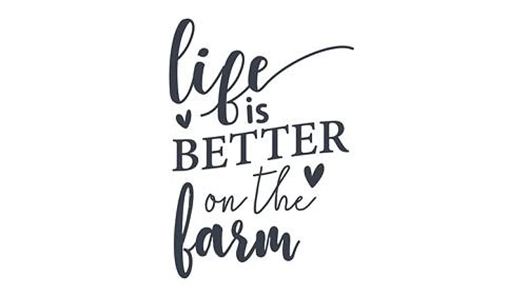 Life On The Farm