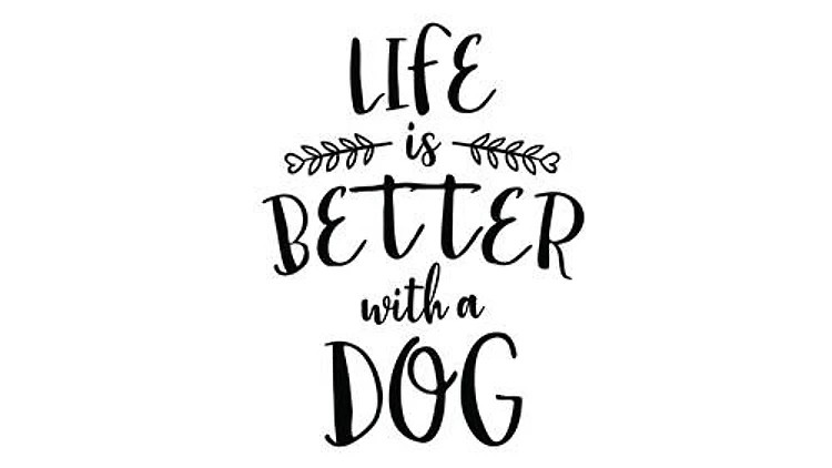 Life With A Dog