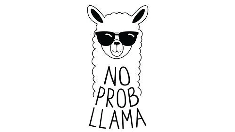 No Prob Llama