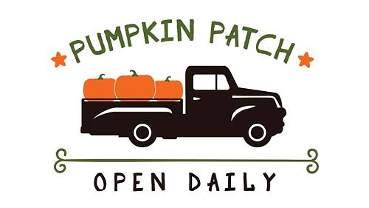 Pumpkin Patch