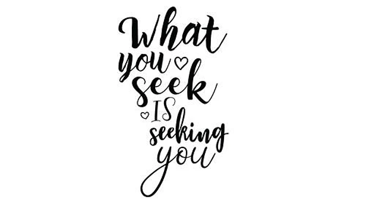 What You Seek