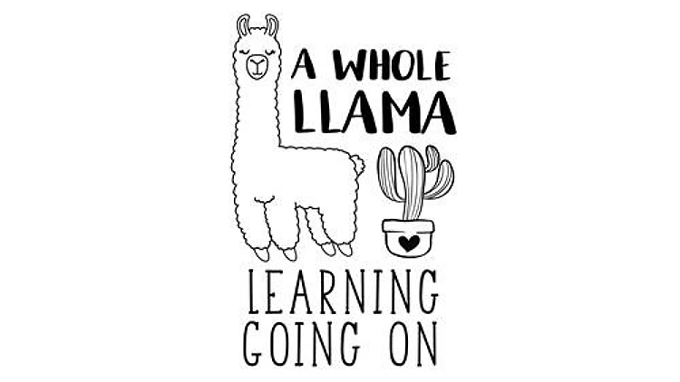 Whole Llama Learning
