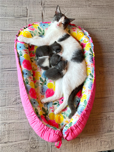 Baby Nest Lounger PDF Sewing Pattern