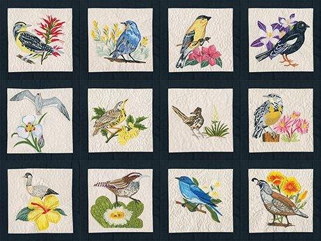 Birds flowers 50 states