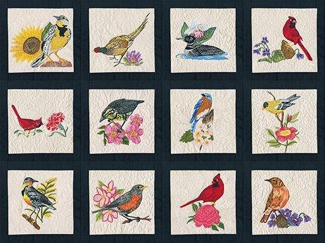 Birds flowers 50 states