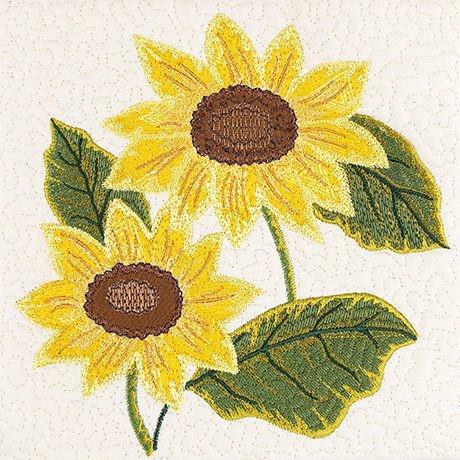 Sunny sunflower