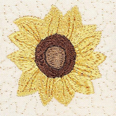 Sunny sunflower