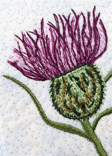 The resilient thistle