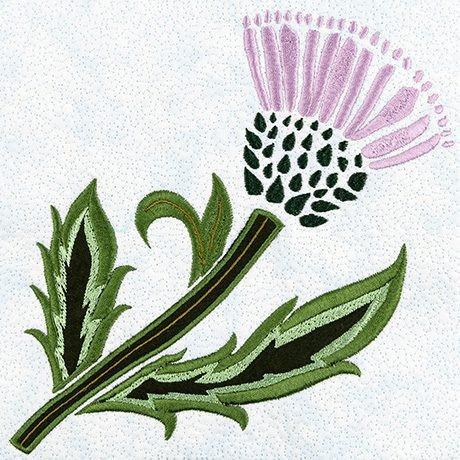 The resilient thistle