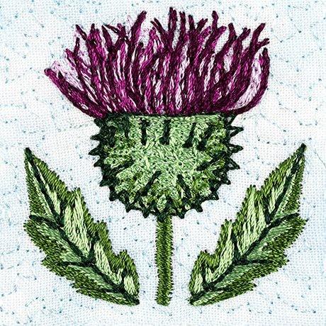 The resilient thistle