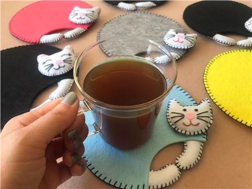 Cat Coaster