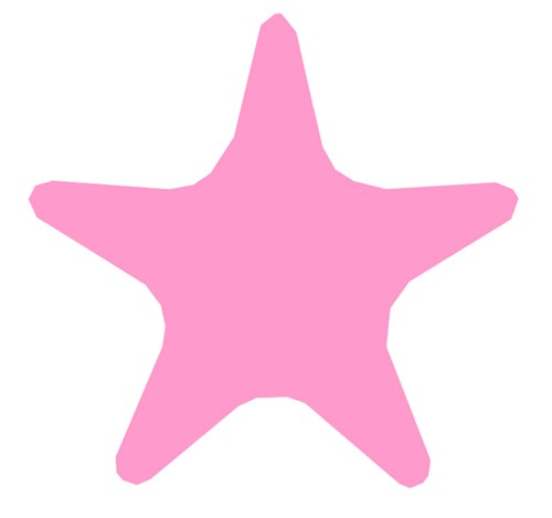 Starfish  Quilt Block  FPP Pattern