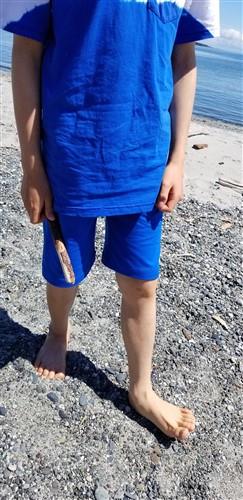 Summer Shorts PDF Sewing Pattern