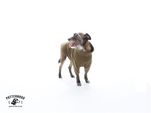 Dog Fleece Jumper PDF Sewing Pattern
