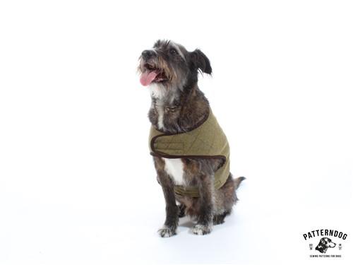 Dog Coat Harness PDF Sewing Pattern