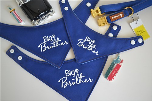 Dog Bandana Harness and Pet Collar PDF patterns