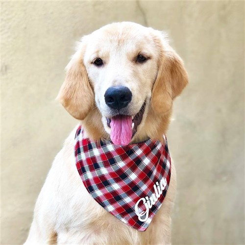 Dog Bandana Harness and Pet Collar PDF patterns