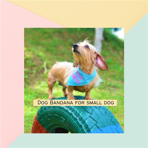 Pet Scarf Bandana PDF Digital Sewing Pattern