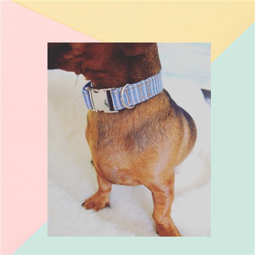 Pet Scarf Bandana PDF Digital Sewing Pattern