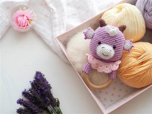 Crochet Dino TeetherRattle