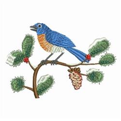 Backyard Bird