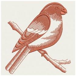 Realistic bird perched on a branch, showcasing rich brown and cream feathering against a solid background.