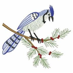 Colorful blue jay perched on a branch adorned with green pine needles and red berries, detailed design for quilting.