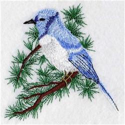 Blue Jay - 4x4 bird detailed machine embroidery design for decorative pillow covers
