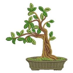 Realistic bonsai tree with twisting branches and lush leaves in a simple pot, perfect for serene decor.