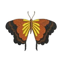 Vibrant butterfly with orange wings, yellow accents, and black edges, perfect for decorative use.