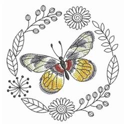 Butterfly Frame