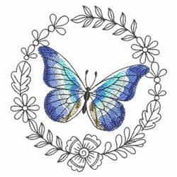 Butterfly Frame