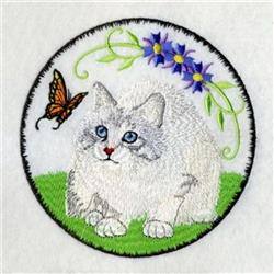 Butterfly & Kitty