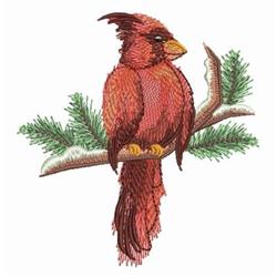 Realistic cardinal perched on a brown branch, surrounded by lush pine needles in winter.