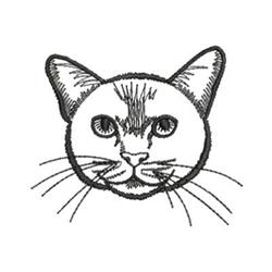 Simple line art of a cat face with large eyes, prominent whiskers, and distinct ears.